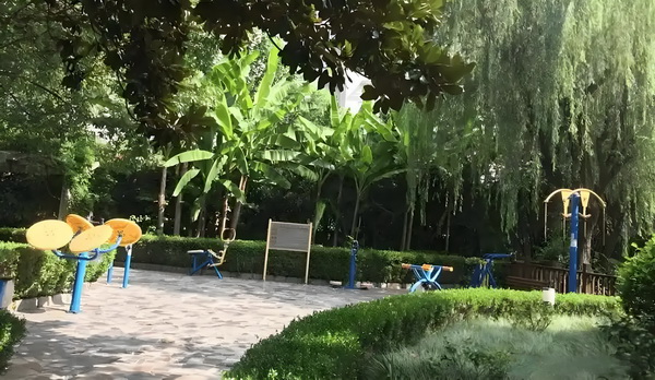应届毕业生可直接入户深圳吗_黄奕女儿不读书想去韩国当练习生，颜值是硬伤 颜值是硬床位0元/月