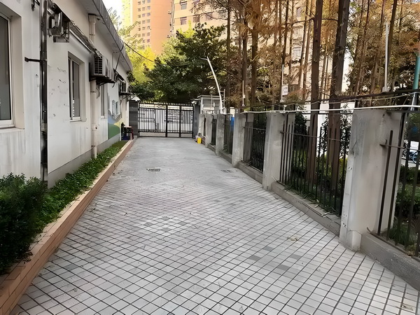 雷军：造车造芯同时决策，赌上小米十年家底